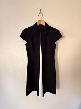 Jill Stuart Tie-Front Short Sleeve Dress with White Center Panel